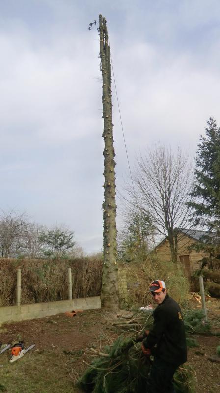 LEPRETRE JEAN CHARLES Abbatage Dun Arbre Par Démontage4