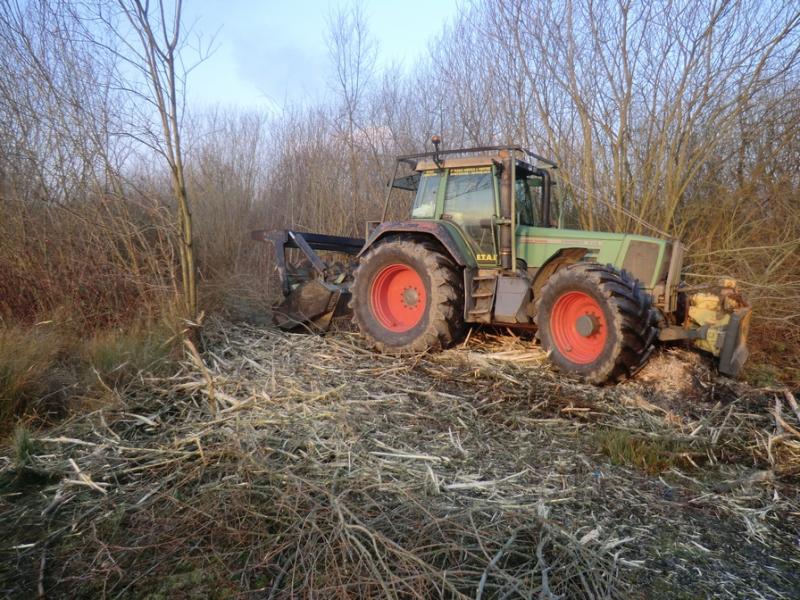 LEPRETRE JEAN CHARLES Broyage De Bois Et Débrousaillage De Jeunes Pousses6