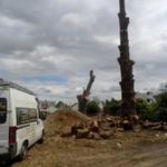 LEPRETRE JEAN CHARLES Démontage Dun Cèdre Et Dun Chêne5