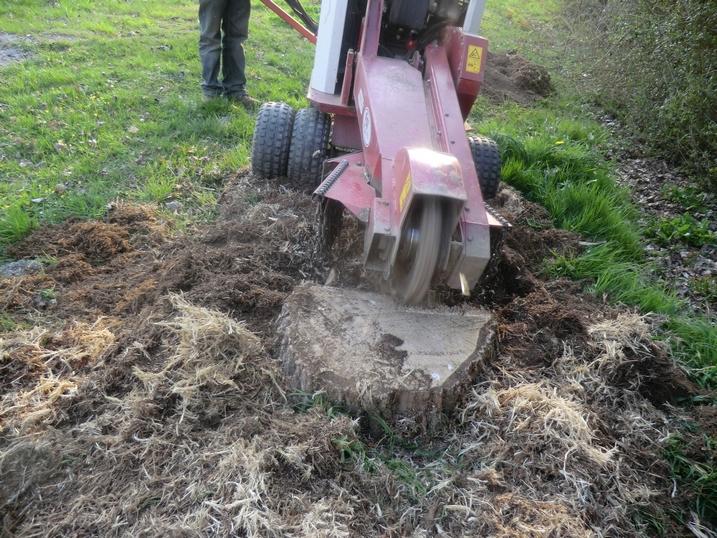LEPRETRE JEAN CHARLES Déssouchage Par Rognage2