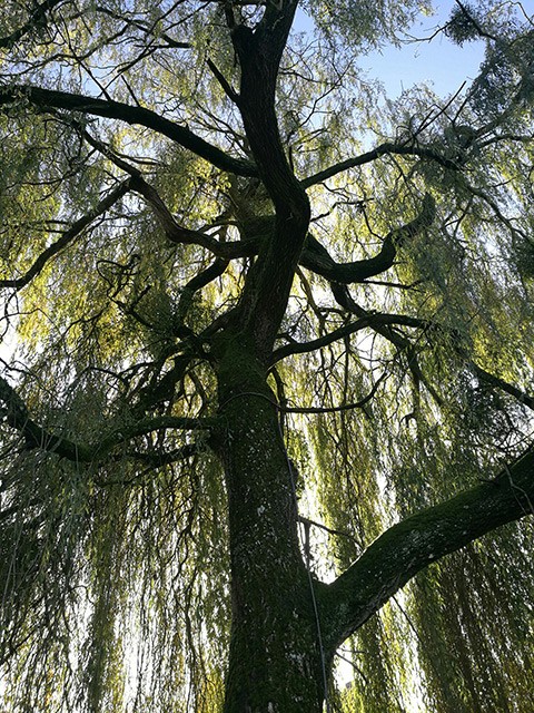 LEPRETRE JEAN CHARLES Bois Lepretre Réalisation 11