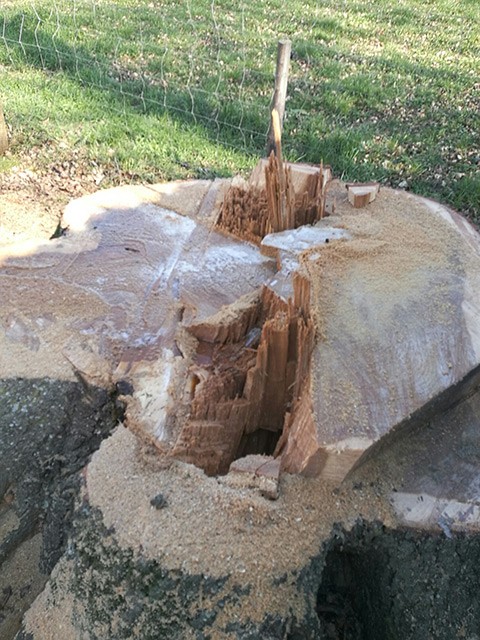 LEPRETRE JEAN CHARLES Bois Lepretre Réalisation 14