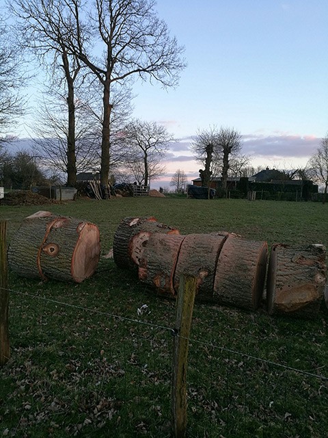 LEPRETRE JEAN CHARLES Bois Lepretre Réalisation 16