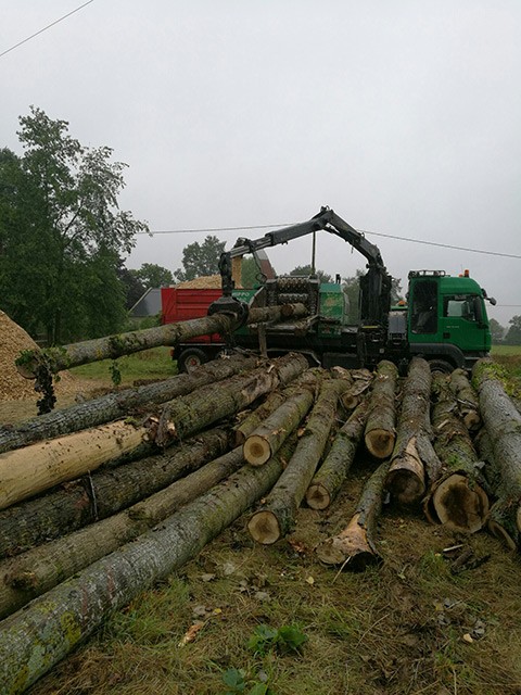 LEPRETRE JEAN CHARLES Bois Lepretre Réalisation 6