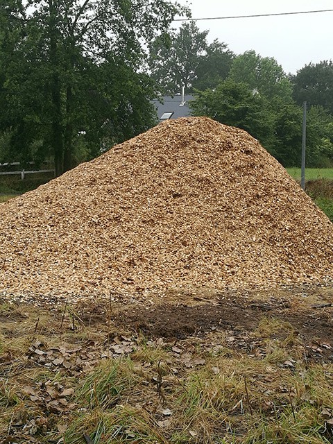 LEPRETRE JEAN CHARLES Bois Lepretre Réalisation 7