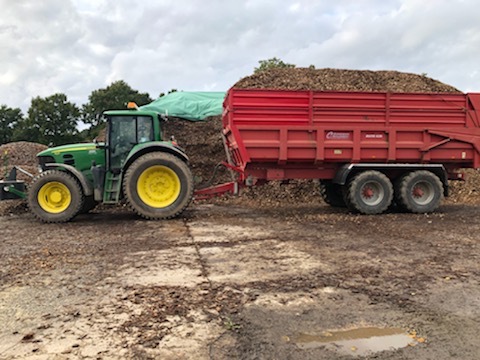 LEPRETRE JEAN CHARLES Copeaux De Bois Image (4) 121